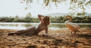 Il cespuglio di Zia Tea